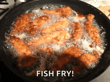 Fried Chicken Fried GIF