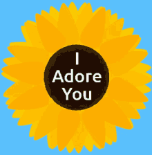 I Adore You Sunflower GIF - I Adore You Sunflower GIFs