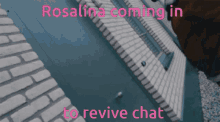 Rosalina Revive Chat GIF - Rosalina Revive Chat Though The Door GIFs