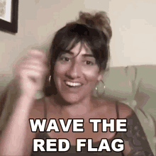 Wave The Red Flag Arielle Scarcella GIF - Wave The Red Flag Arielle Scarcella Thats A No GIFs