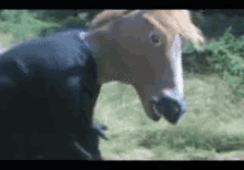 Professorwho Horse GIF - Professorwho Horse Enity GIFs