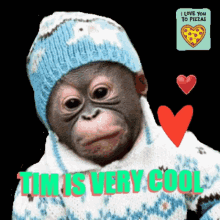 Timmonkey Monkeytim GIF - Timmonkey Monkeytim Tim GIFs