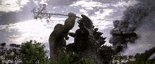 King Kong Vs Giant Crocodile Fight GIF - King Kong Vs Giant Crocodile King Kong Fight GIFs