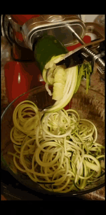 Zoodles GIF