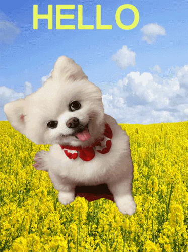 Puppy Ice GIF - Puppy Ice CuteDog - Descoperă și partajează GIF 