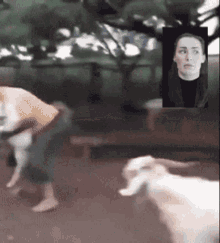 Man Hit By Goat Laura Smith Watching GIF - Man Hit By Goat Laura Smith Watching GIFs