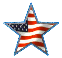 a star with an american flag on it and a blue border