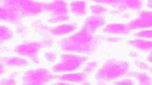 a blue and white background with a leopard print