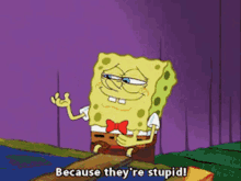 Spongeob Because Theyre Stupid GIF - Spongeob Because Theyre Stupid Theyre Stupid GIFs