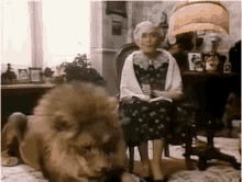 Lion Granny GIF - Lion Granny Grandma GIFs