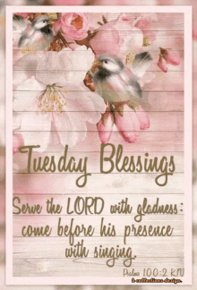 Tuesday Blessings GIF - Tuesday Blessings Good GIFs