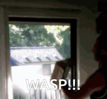 Wasp Bug GIF