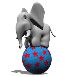 gajah sirkus bola pintar lucu