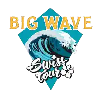 a logo for big wave swiss tour shows a large wave