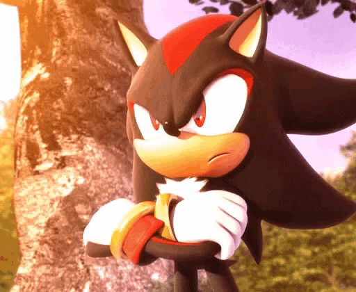 Sonic Shadow GIF - Sonic Shadow No GIFs