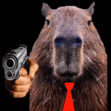a capybara is pointing a gun at the camera while wearing a red tie .