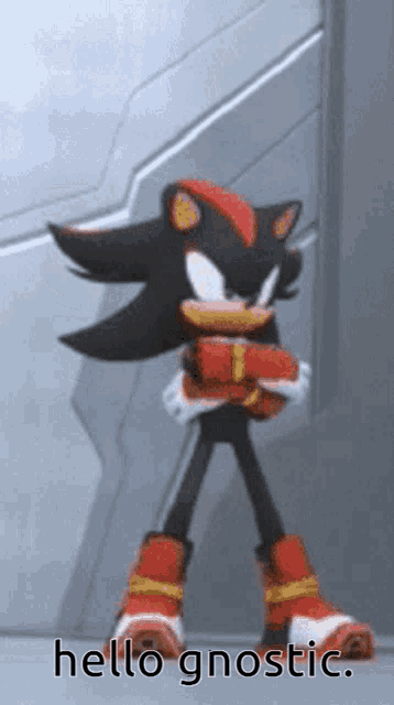 Shadow The Hedgehog (Sonic Boom)