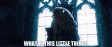 The Golden Compass Ragnar Sturlusson GIF - The Golden Compass Ragnar Sturlusson What Is This Little Thing GIFs