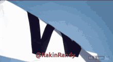Rakin Randy GIF - Rakin Randy GIFs