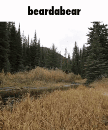 Beardabear GIF - Beardabear GIFs