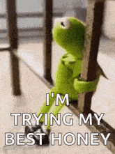 kermit the frog is leaning against a railing and saying `` i 'm trying my best honey ''