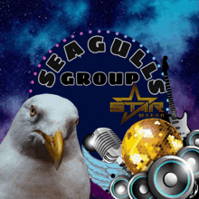 Seagullsph GIF - Seagullsph GIFs