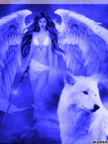 angel wolf wings colorful art