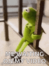 kermit the frog is sitting on a railing holding onto a railing while waiting for a video .