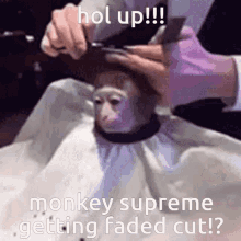 cut monkey