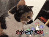 a calico cat with the words gay cat dad written on the bottom