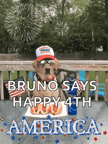 a dog wearing a red white and blue hat says bruno says happy 4th