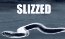 Slizzed Snake GIF - Slizzed Snake Slizzville GIFs