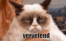 Vervelend GIF - Annoying Annoyed Ugh GIFs