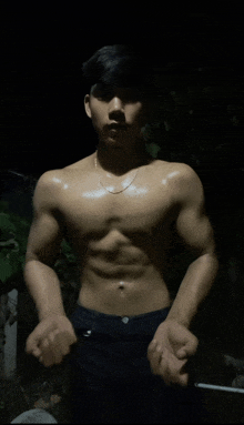 a shirtless man with a chain around his neck stands in the dark
