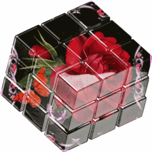 Flowers Roses GIF - Flowers Roses Rubics Cube GIFs