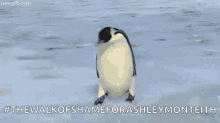 Fail Penguin GIF - Fail Penguin Ice GIFs