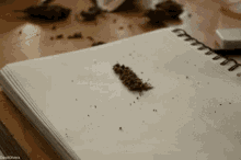 a spiral bound notebook with a piece of tobacco on top of it