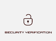 Security Verification GIF - Security Verification GIFs