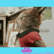 Peter Rabbit Whaaa GIF - Peter Rabbit Whaaa Shocked GIFs