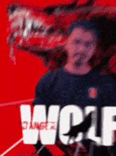 a blurry picture of a man with the word wolf in the background