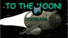 Dogelana Dlana GIF - Dogelana Dlana To The Moon GIFs