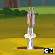 Sorprendido Bugs Bunny GIF - Sorprendido Bugs Bunny Looney Tunes GIFs