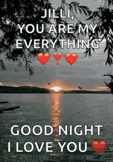 Good Night I Love You GIF - Good Night I Love You Lake GIFs