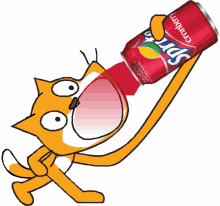 cat sprite drink cola chug it down