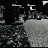 a black and white image of a video game with the words catalog and stores visible
