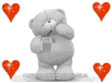 Love Bear GIF - Love Bear Hearts GIFs