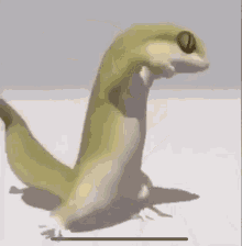 Dance Lizard GIF