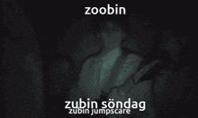 Zubin Sedghi GIF - Zubin Sedghi Söndag GIFs