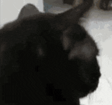 Ded Black Cat Fall GIF - Ded Black Cat Fall Falling Cat GIFs