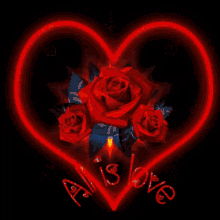 Rose All Is Love GIF
